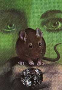 Hickory Dickory Dock