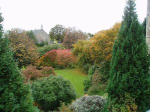 20091015 autumn colours