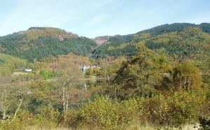 20091017 The Trosssachs