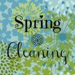 Spring-Cleaning-785x1024